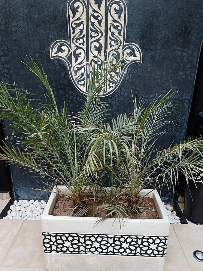 Riad Excellence Marrakesh Exterior foto